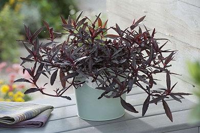 《燕云十六声》不教玩家玩游戏 超大型江湖自由玩